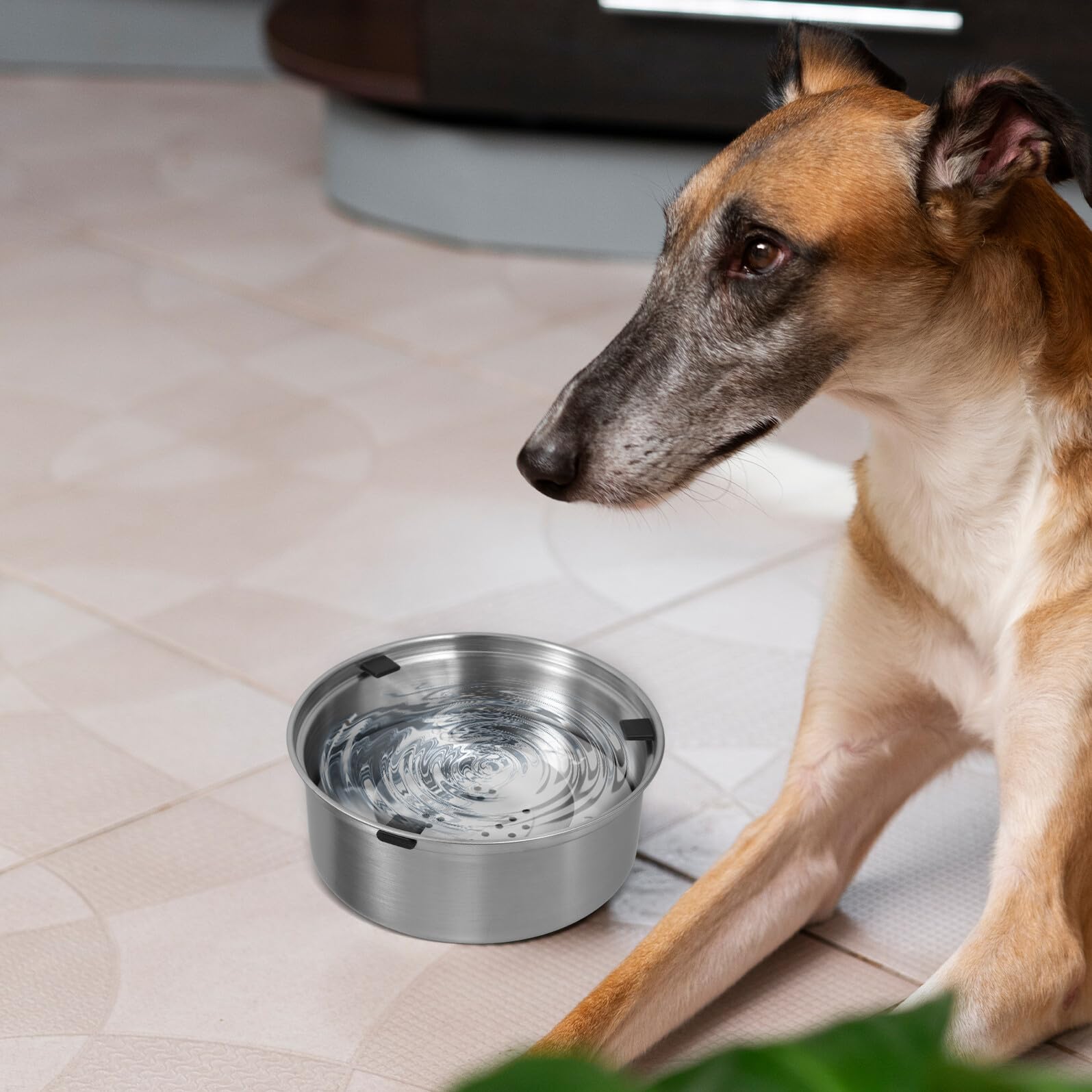 Edelstahl Wassernapf für Hunde und Welpen mit Langsamer Trinkfunktion Tropffrei und rutschfest für Gesunde Hydration und Sauberes Trinken zu Hause