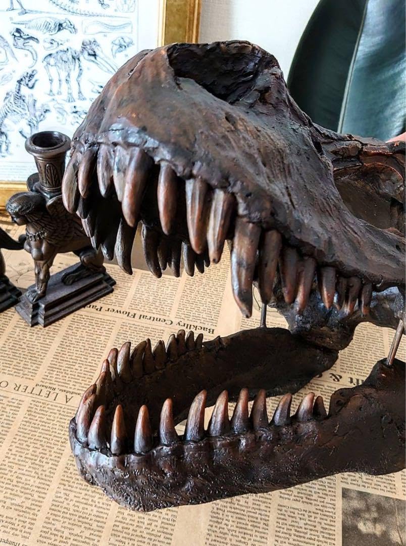 ティラノサウルス インテリアオブジェ 雑貨 置物 恐竜の化石 