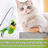 Ver la foto 6