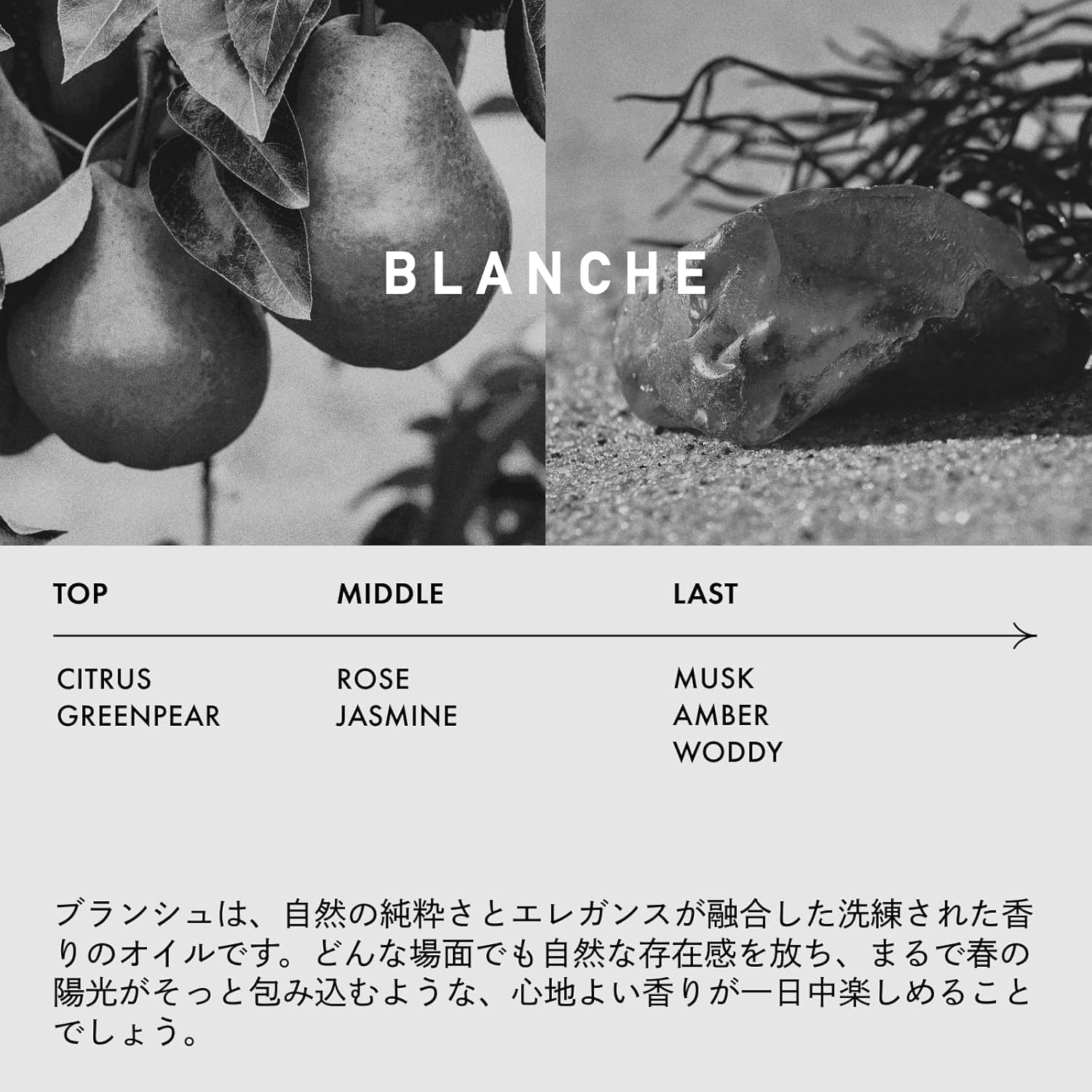 Amazon | LOA EAU DE PARFUM BLANCHE ロア オードパルファム 