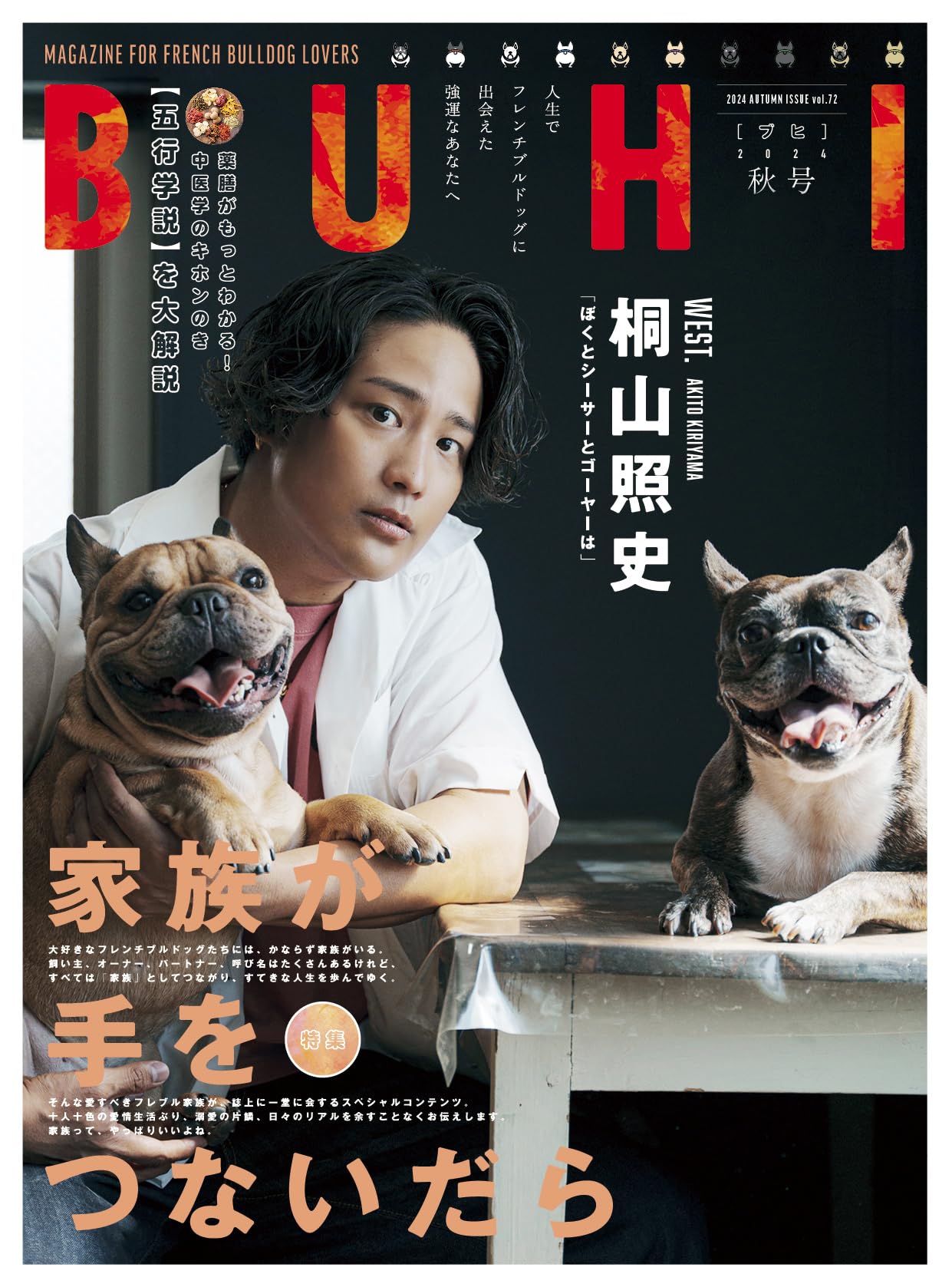 BUHI 雑誌　vol.1〜65 フレンチブルドッグ Amazon.co.jp: BUHI (1) フレンチブルドッグ専門誌 (OAK MOOK