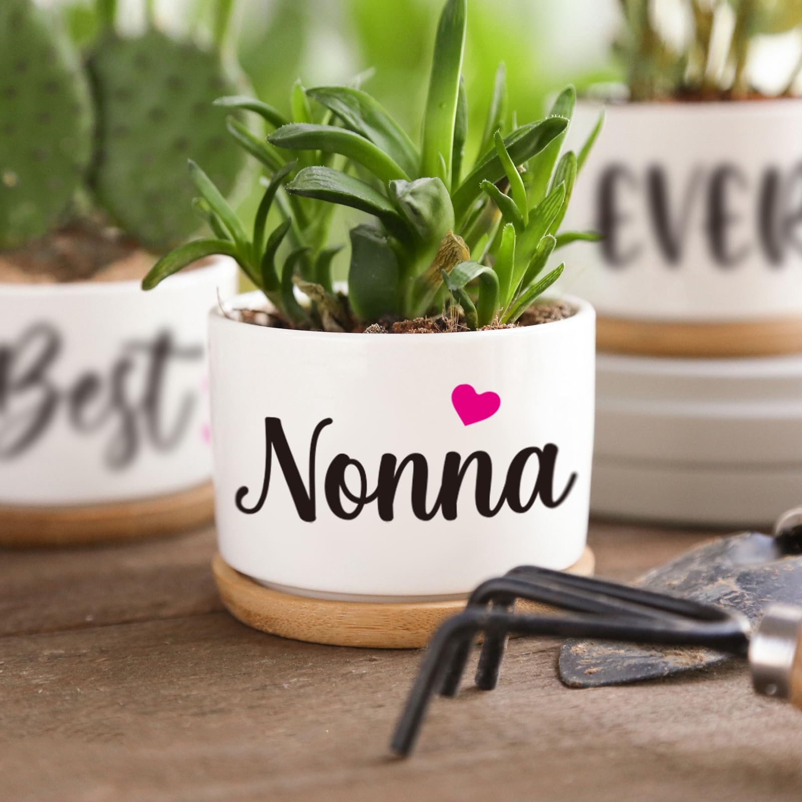 AceThrills Nonna Gifts for Birthday, Nonna for Nonnas from Grandkids, Unique Present on Thanksgiving Christmas - 3 Pcs 3.15" Succulent Pots with Bamboo Tray