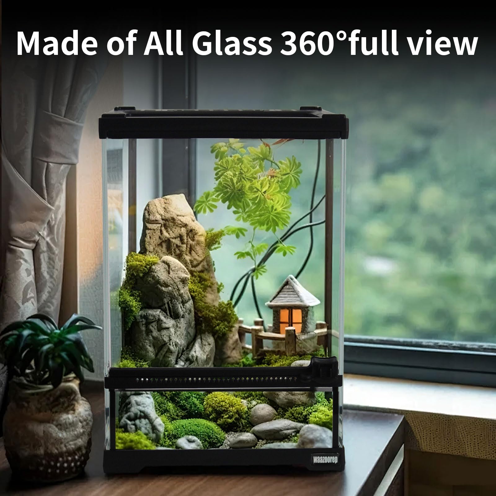 Amazon.com : Waazoorep Mini Reptile Glass Terrarium Tank 8 Amazon.com : Waazoorep Mini Reptile Glass Terrarium Tank 8