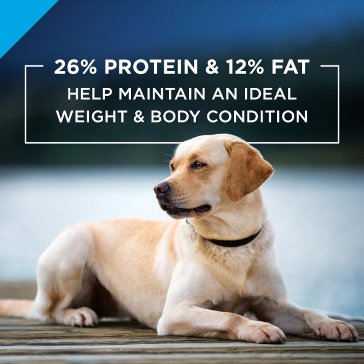 Purina Pro Plan Large Breed Dog Food, Joint Health for Dogs Chicken & Rice Formula - 34 Pound (Pack of 1) (Packaging may vary) : Everything Else