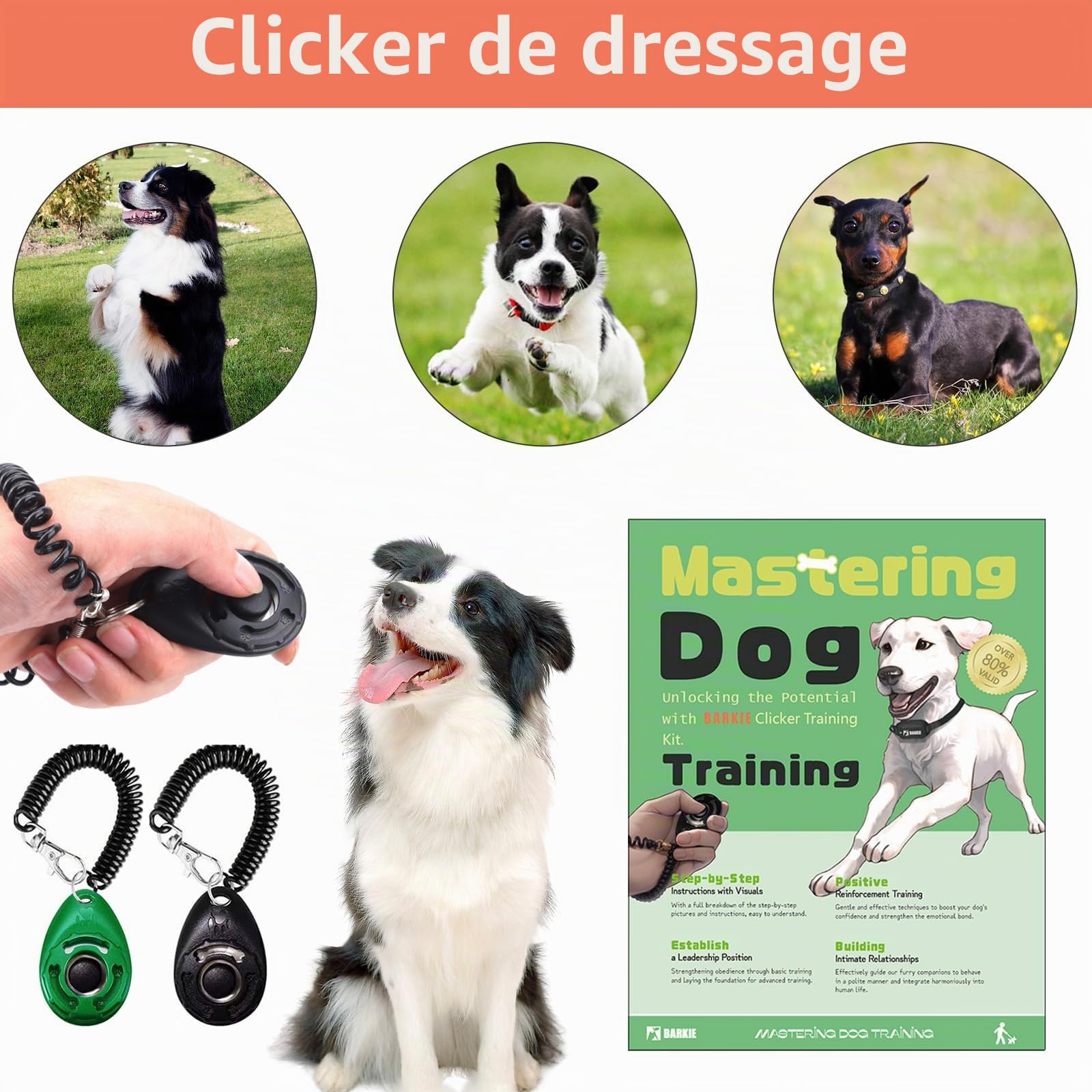 Kit de dressage pour chien – Pochette à friandises pour chien, sac banane de dressage pour animaux de compagnie, clic-clic, sifflet à ultrasons silencieux pour chien, sac à déjections canines (noir)