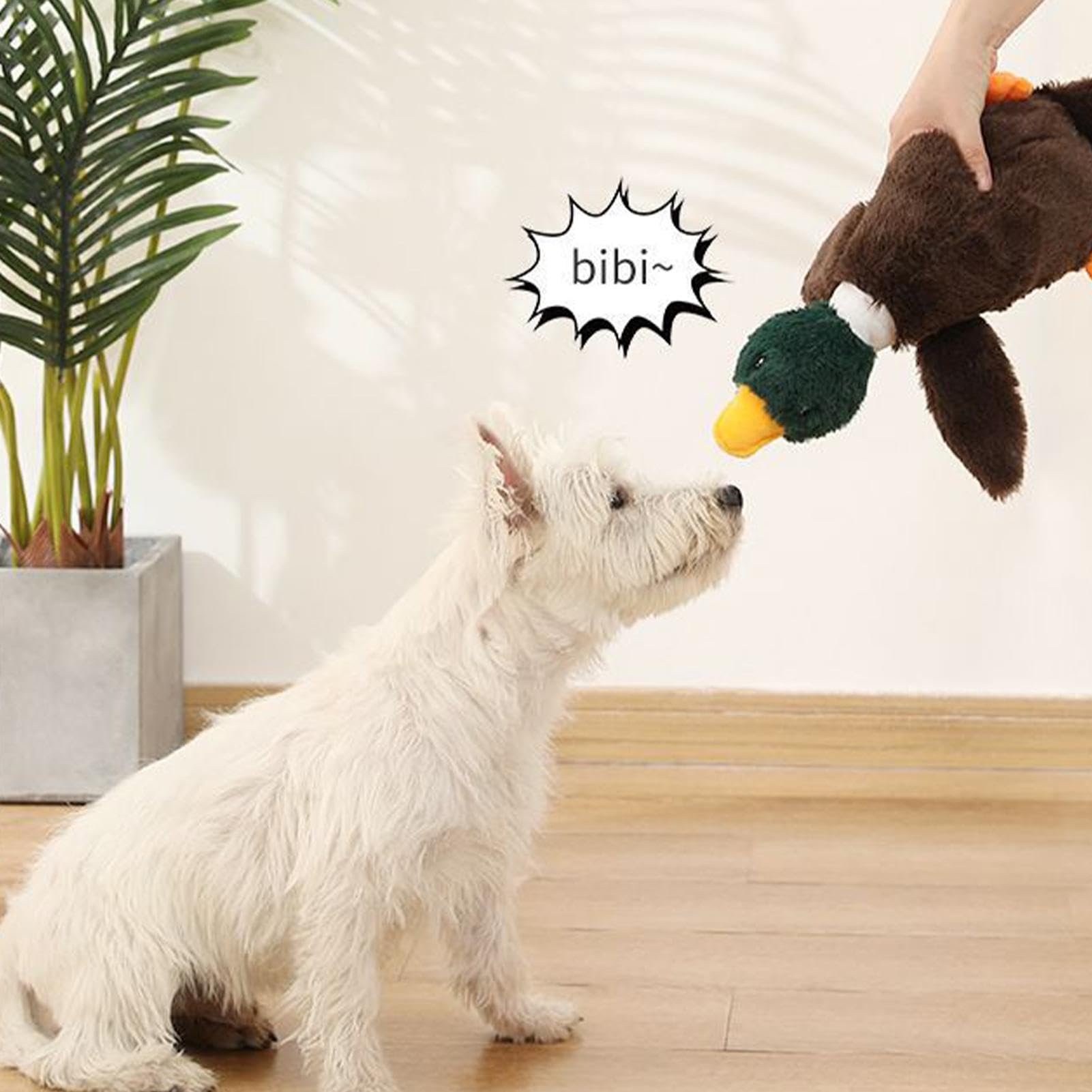 Quietschende Ente Als Hundespielzeug – Langlebig, Interaktiv & Zahnreinigend
