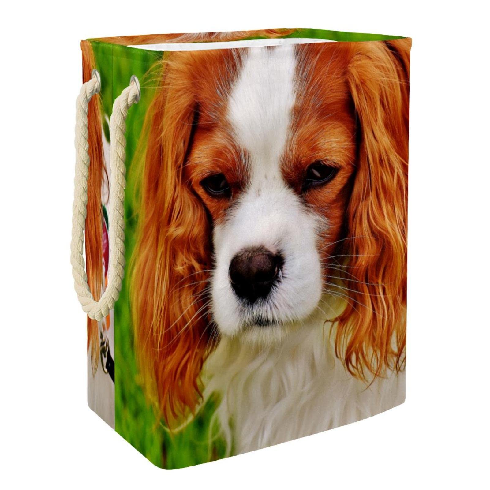 Cesto portabiancheria impermeabile, con manico per cani e cani con pelo lungo