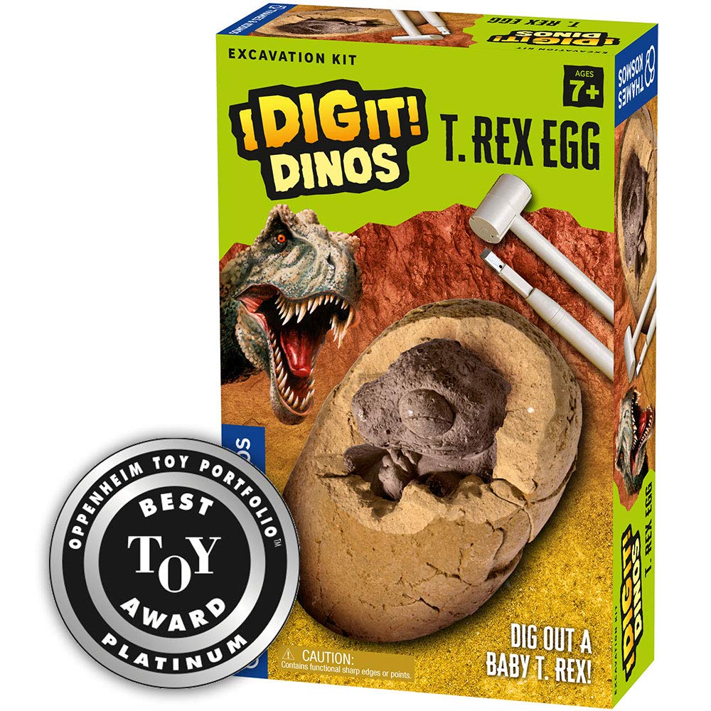 Buy Thames & Kosmos I Dig It Dinos T. Rex Egg Excavation Science