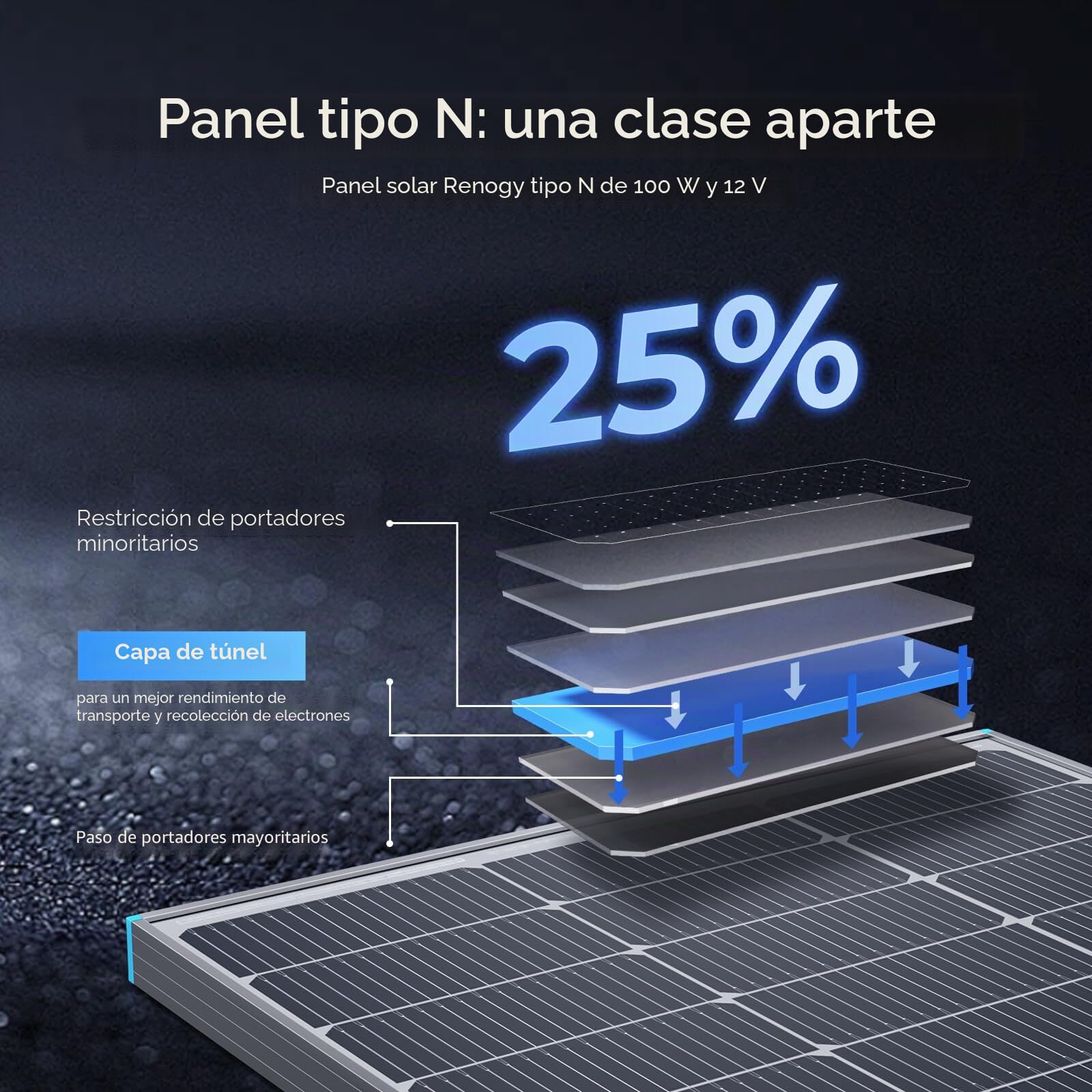 Renogy Panel solar tipo N de 100 W, 16 BB, 12 V, 100 W, panel solar 25% de alta eficiencia, cargador de alimentación de módulo fotovoltaico para caravana, batería de granja marina y otras