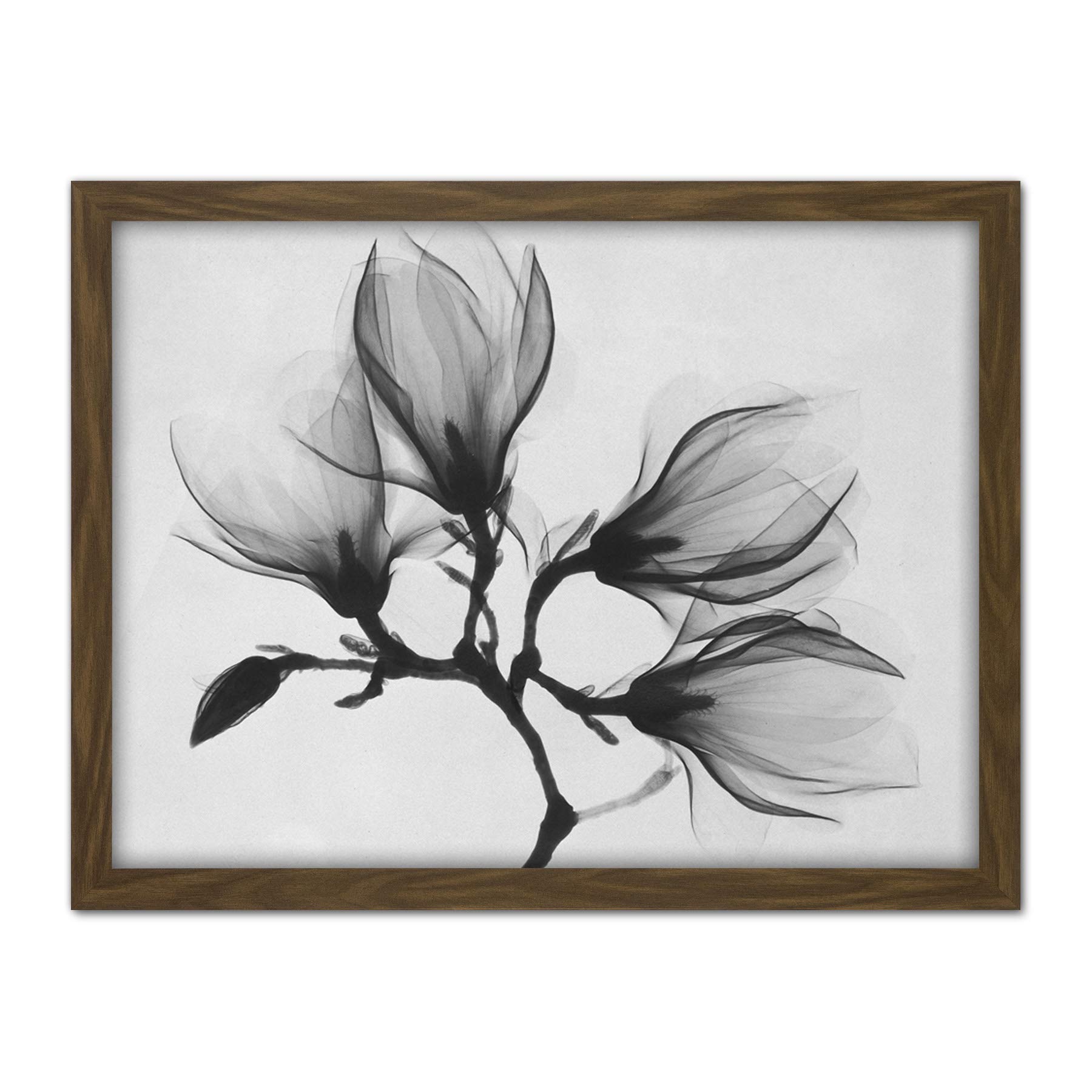 Wee Blue Coo Magnolia Branch Xray Artwork Framed Wall Art Print 18X24 Inch