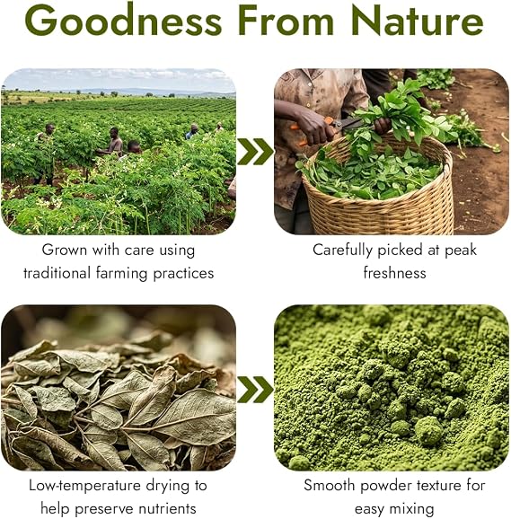 Kapiva Moringa Powder 8 oz | Pure Moringa Oleifera Leaf Powder | Natural Superfood Powder | Authentic Indian Origin | Gluten Free, Non-GMO | Smoothies, Juices & Daily Wellness