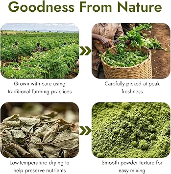 Kapiva Moringa Powder 8 oz | Pure Moringa Oleifera Leaf Powder | Natural Superfood Powder | Authentic Indian Origin | Gluten Free, Non-GMO | Smoothies, Juices & Daily Wellness