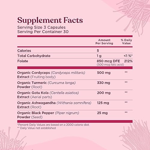 Miniatura 8 de Four Sigmatic Cápsulas de memoria  Reduce la niebla cerebral y mejora la memoria  Suplemento de memoria nootrópico para apoyo cerebral con hongos