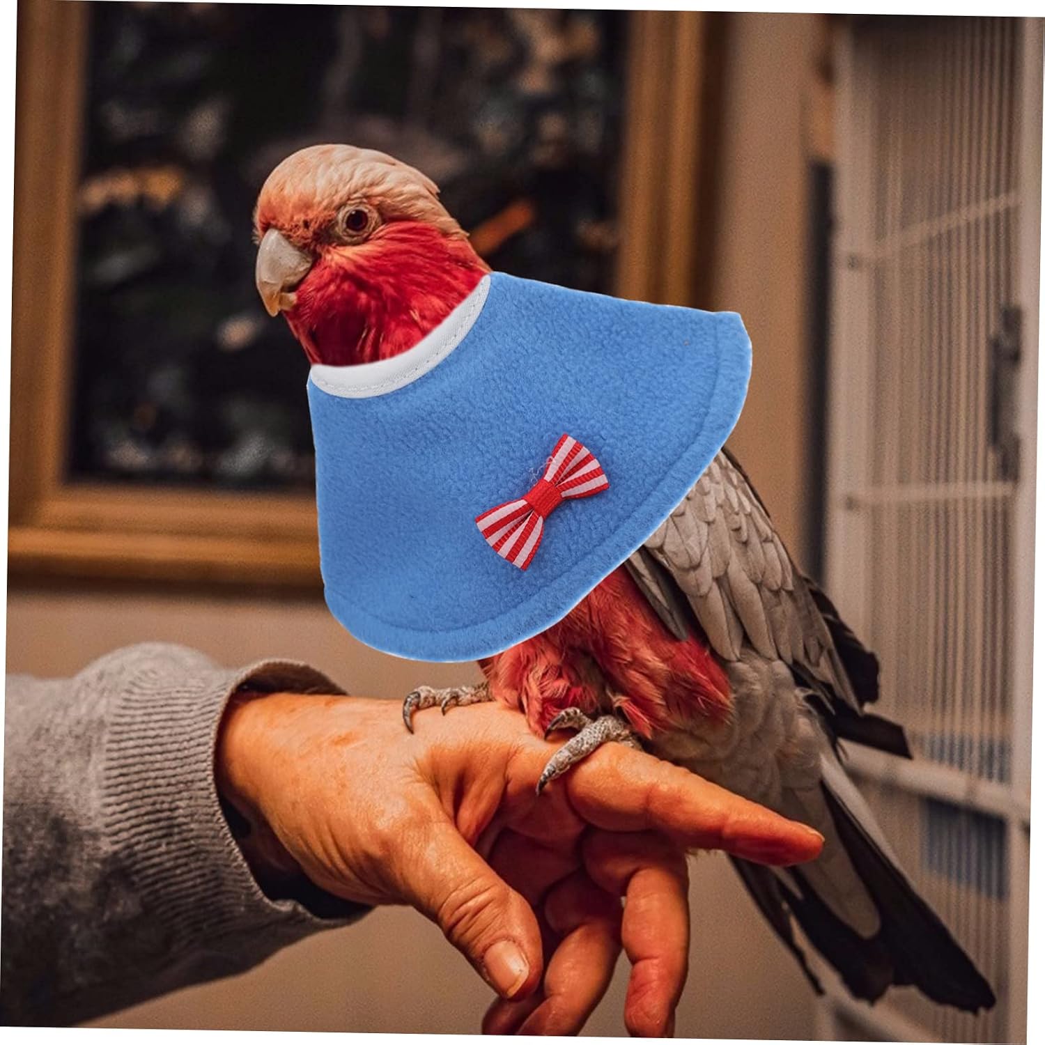 2Pcs Parrot Neck Collar Protective Bird Collar for Comfortable Wear Stylish Design for Parrots and Cockatiels for Abdominal Injuries and Skin Issues