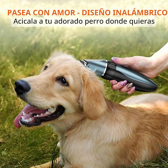 Foto 7 de 7 de Máquina de Cortar Pelo para Perros, Cortapelos Profesional Silencioso USB