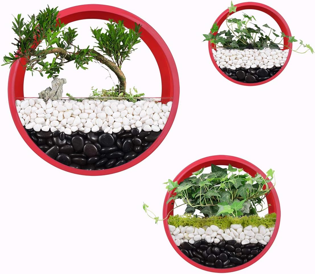 3 Pack Hanging Wall Planters Wall-Mounted Plant Container Modern Round Vase Circle Iron Planter for Herbs Succulent and Cactus, Perfect for Balcony, Room and Patio Decor (Red)