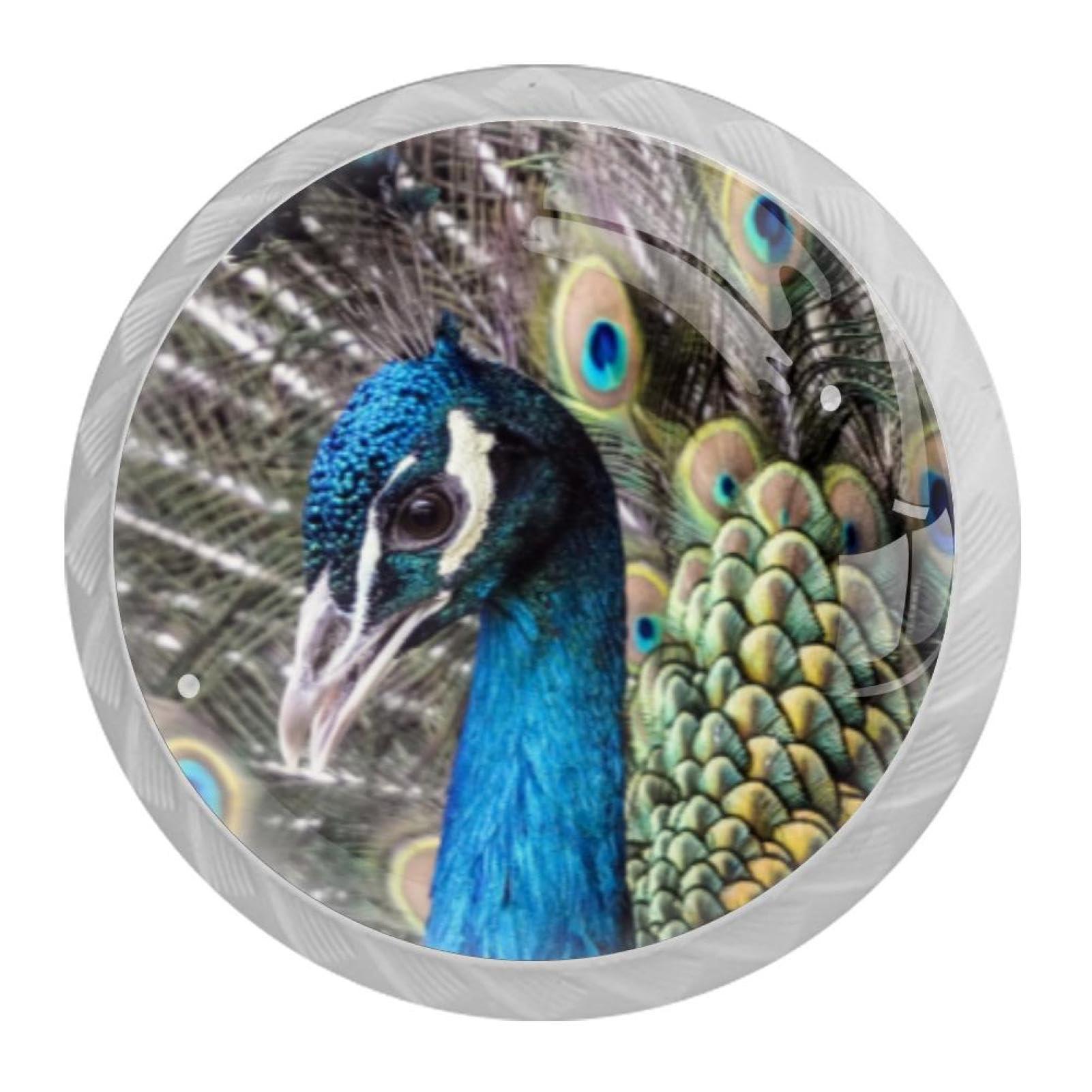 Tqmspg Multi04 4 Pieces Drawer Pulls Peacock Bird Door Knobs Dresser Handles For Kitchen Wardrobe Cupboard Hardware Furniture