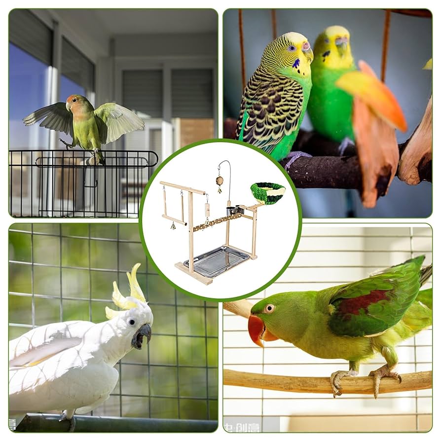 オウムアスレチックスタンド 楽天市場】【スーパーSALE限定×10％OFF】インコ 遊び場 インコ