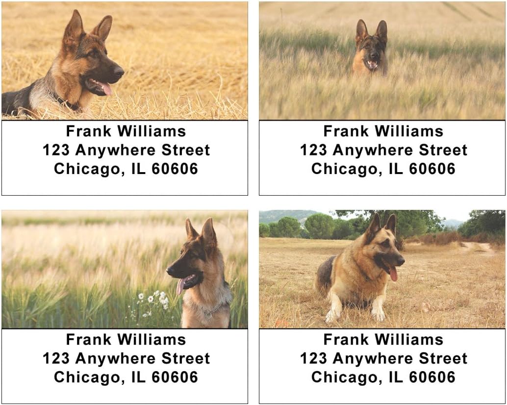 Alert German Shepherds Address Labels