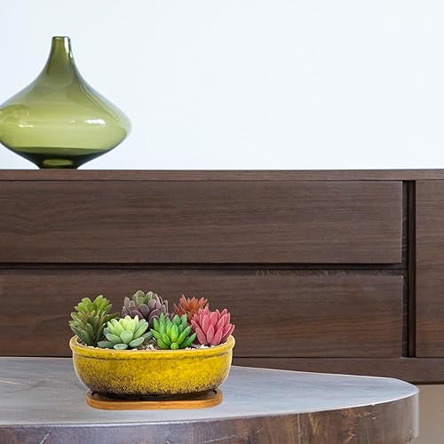 Miniatura 6 de Macetas para suculentas, macetas rectangulares de 7.9 pulgadas de largo con bandeja de drenaje, macetas poco profundas para plantas de interior,