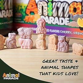 NaturesPlus Animal Parade MagKidz, Natural Cherry Flavor - 90 Animal-Shaped, Chewable Tablets - Pack of 2 - Bone & Muscle Health Support - Non-GMO, Vegan, Gluten Free, Sugar Free - 90 Total Servings
