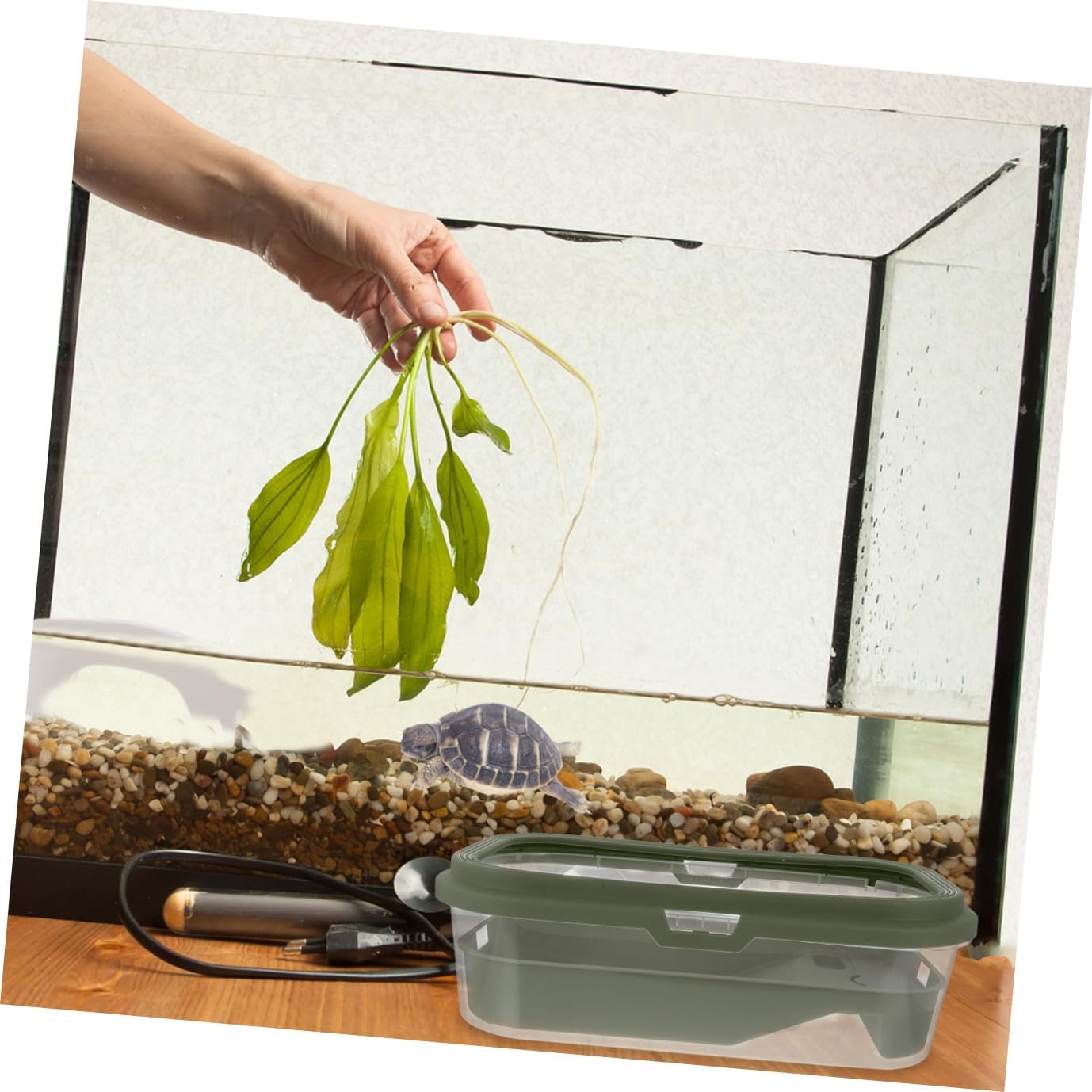 SUPVOX Plastic Multi-Purpose Tortoise Feeding Tank Terrace Large Tortoise Habitat for Home Use Easy Cleaning Design Feeding Box for Turtles and Amphibians