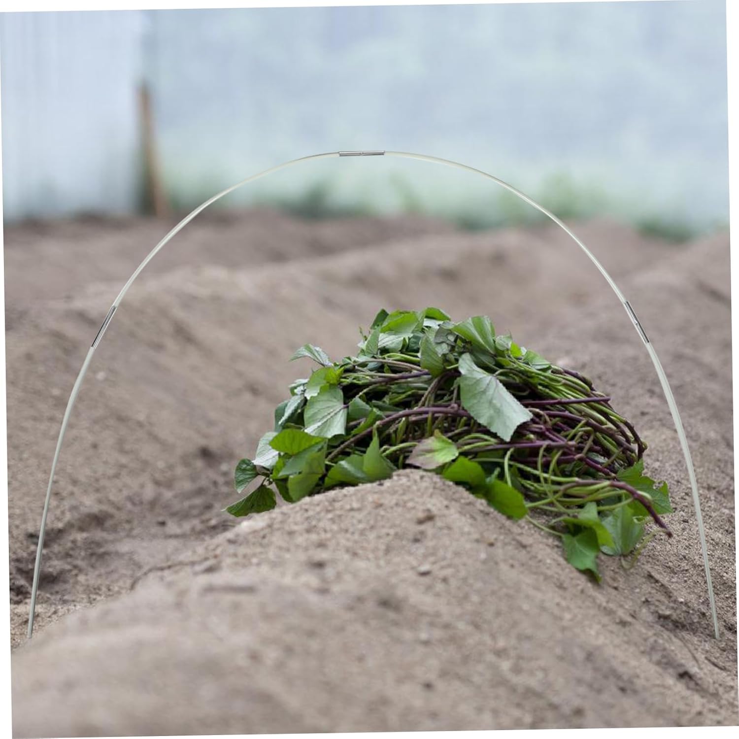 Toyvian 1set Greenhouse for Raised Beds Fiberglass Plant Support Stakes with Arched Hooks for Easy Installation Gardens and Patios for Supporting Garden Fabrics
