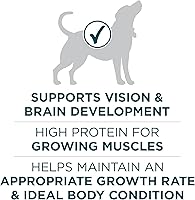 Vista 3 de Purina ONE Plus Fórmula Seca para Cachorros de Raza Grande - Bolsa de 40 lb