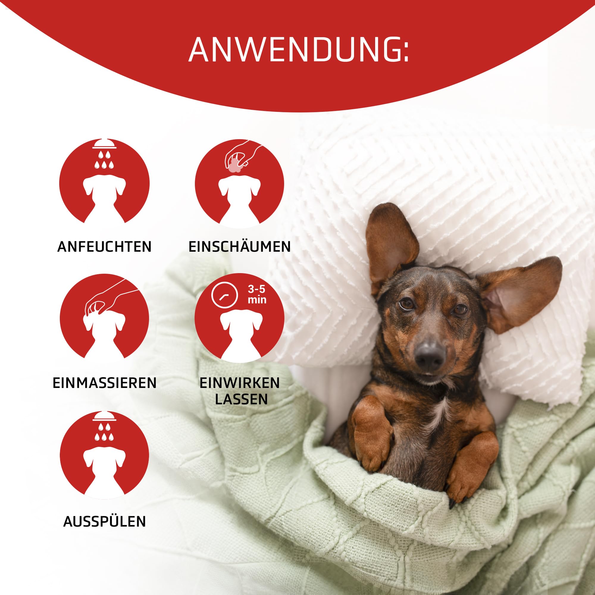Artero Scarlet Vital Farbintensivierungsmaske für Hunde, Rot, Braun, Schokolade und Apricot, 100 ml