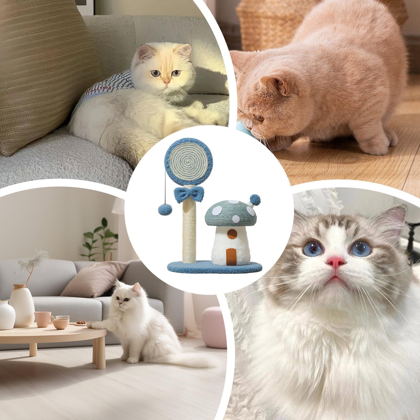 Arrampicatoio per gatti Tiragraffi A Fungo Con Tavola Di Sisal | Albero Tiragraffi Per Gatti Interno E Esterno per Casa Dormitorio Appartamento Piccoli Spazi e Area Giochi