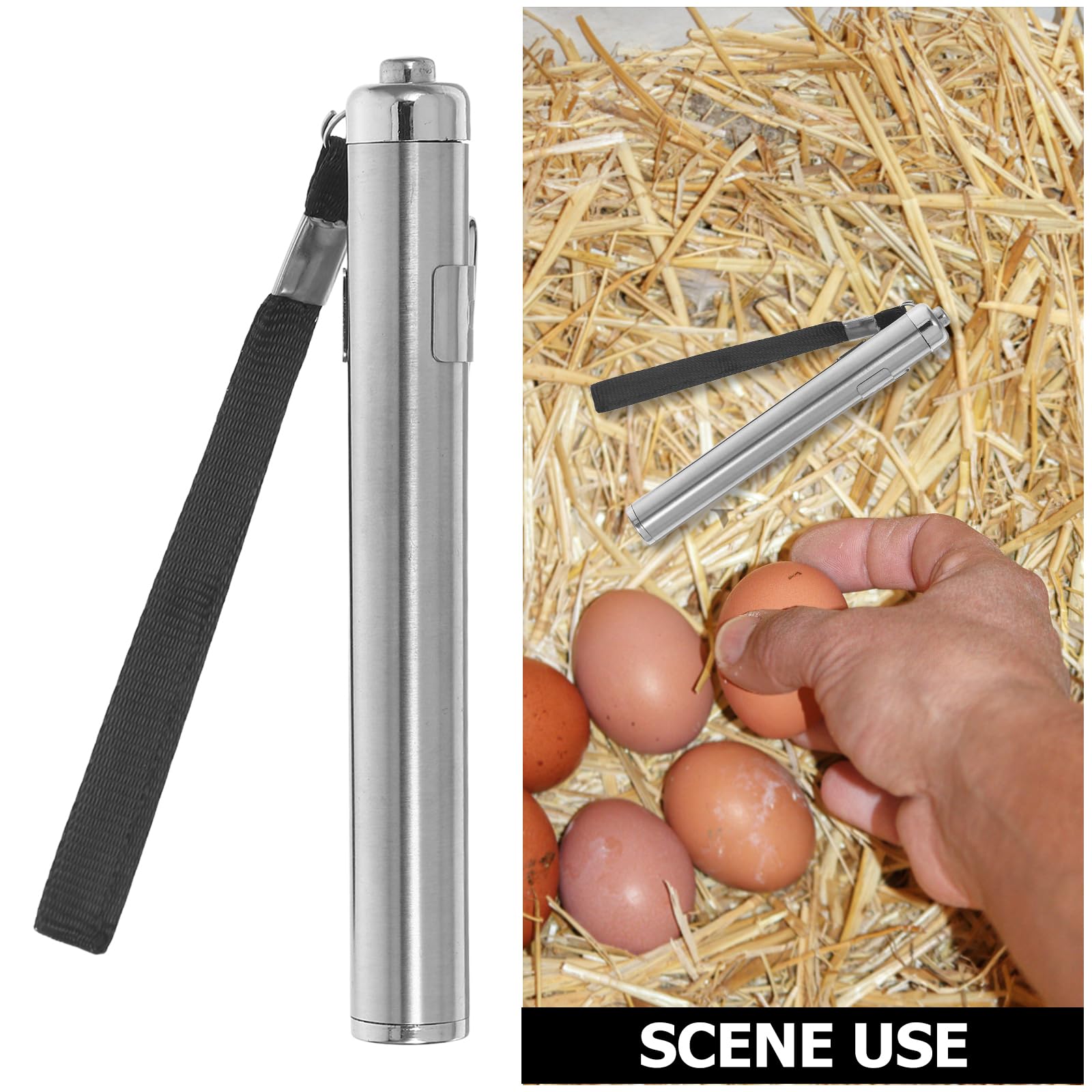 Mipcase Linterna De Incubación Para Huevos De Codorniz Y Aves De Corral Con Luz Fría Portátil Antorcha Profesional Herramienta De Ovoscopio Precisa Para Equipo De Incubación