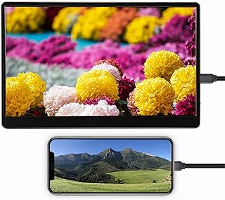 Monitor portátil de 15,6 polegadas, 1080 p full hd usb tipo c computador tela ips com hdmi, tipo c, otg e portas usb, mini monitor de viagem hdmi para laptop pc telefone xbox ps4 switch(EU)