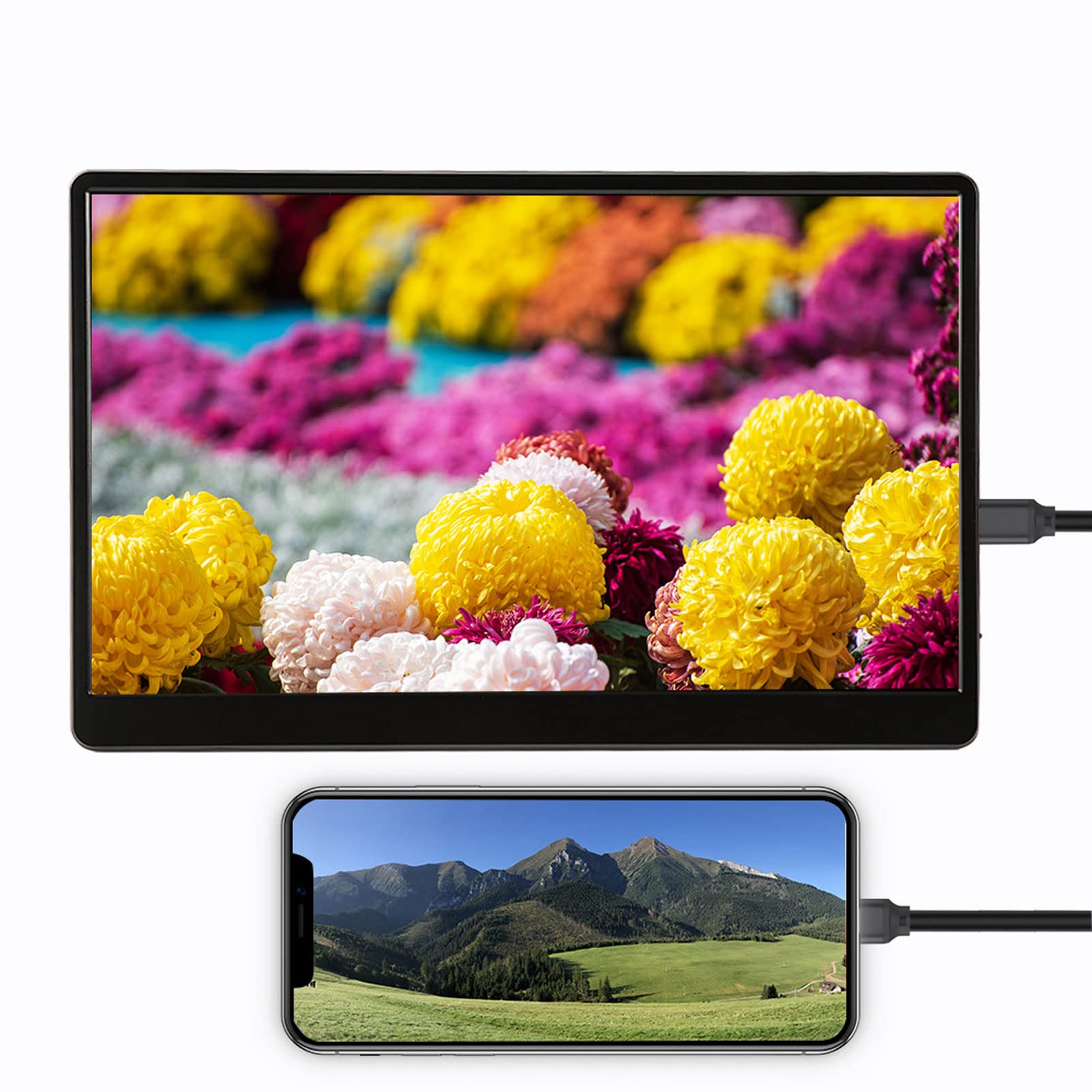 ディスプレイ、モニター 15.6インチ ポータブルモニター, IPS液晶