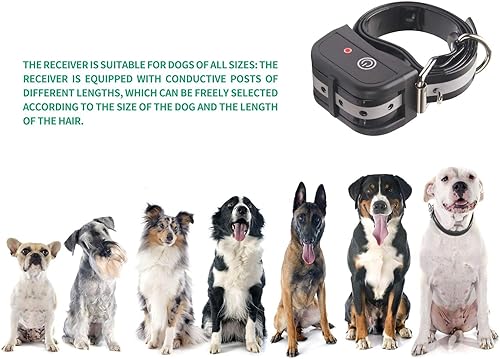 Miniatura 8 de Correa de entrenamiento de nailon para perros resistente duradera correa de estilo tradicional con broche de perno fácil de usar para perros