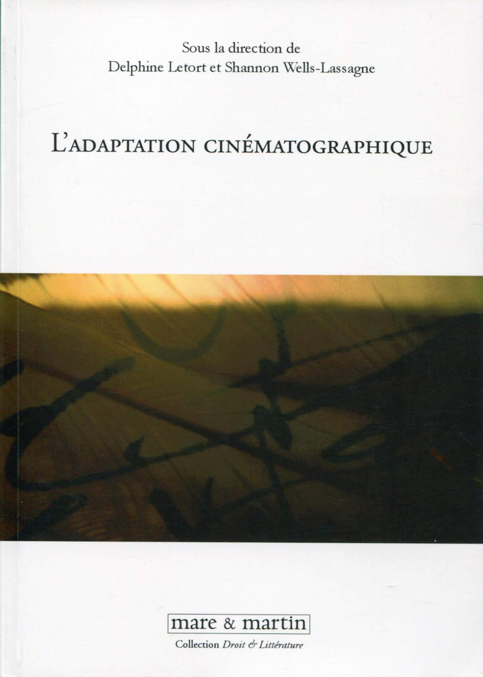 L'adaptation cinématographique : Premières pages, premiers plans - Réussir son analyse de film