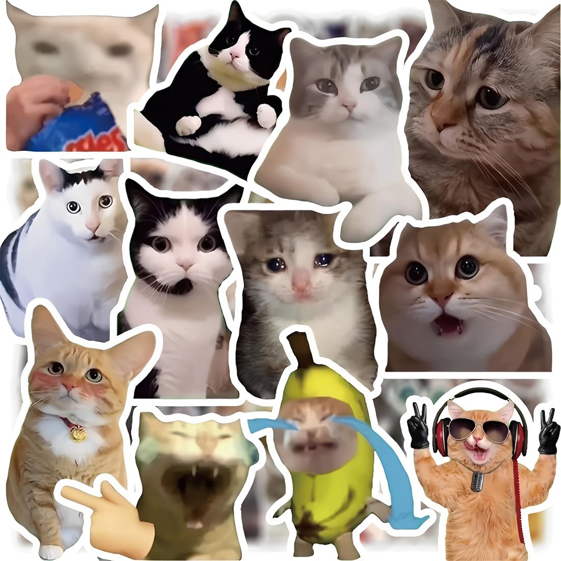 300 Stickers Gatti Sticker Meme Adesivi Divertenti Kitty Sticker Stickers Set Adesivi Estetici per Laptop, Bottiglia d’Acqua, Quaderno, Decorazioni, Regalo