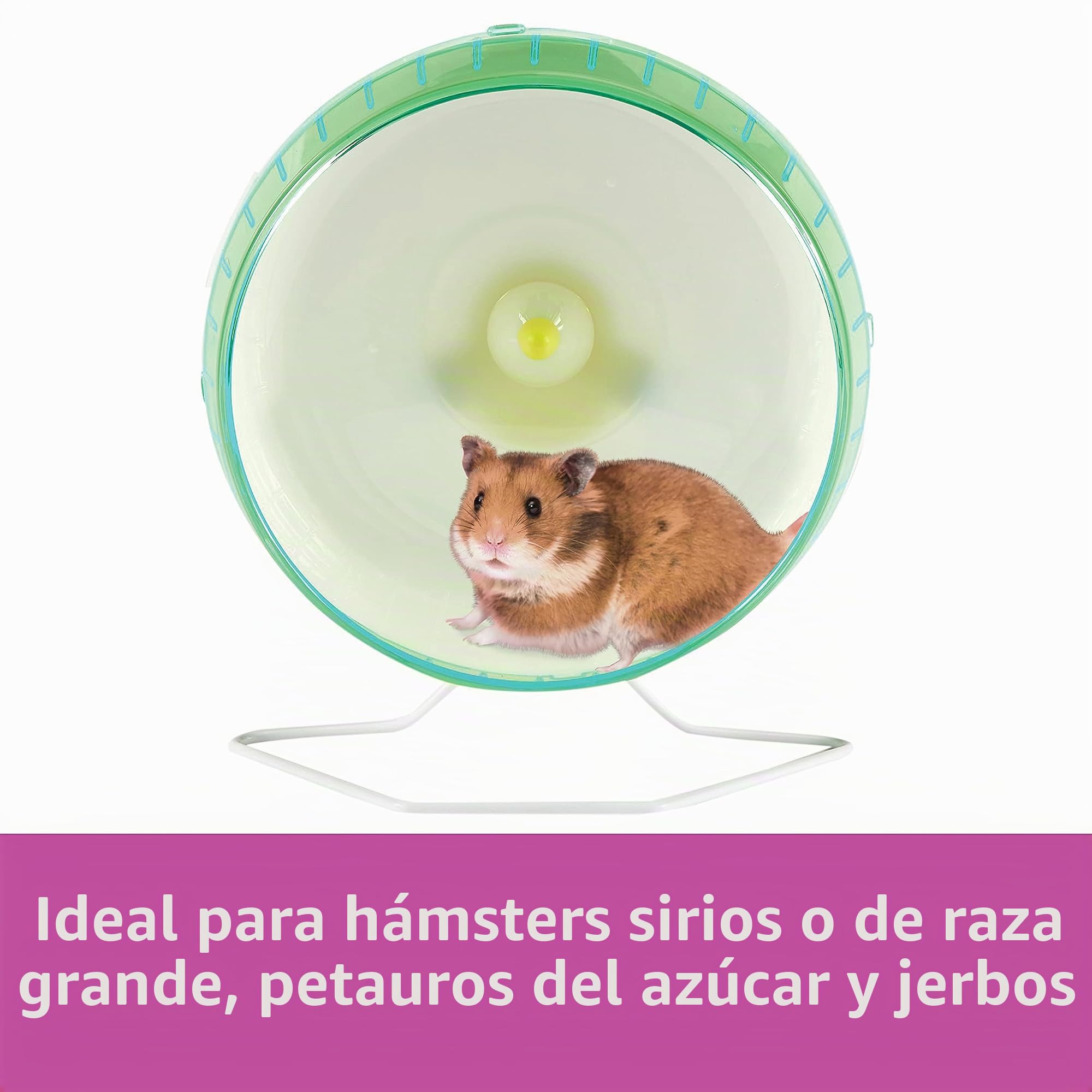 Kaytee Rueda giratoria silenciosa para Mascotas sirias o hámsteres de Raza Grande, Deslizadores de azúcar y jerbos, Grande de 10 Pulgadas