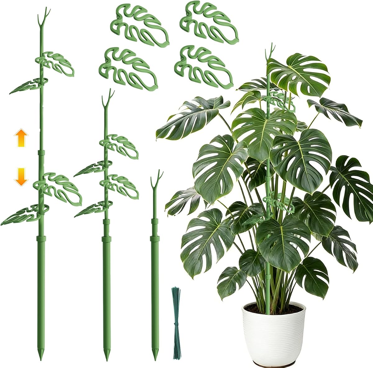 Telescoping Monstera Plant Support Stakes, Adjustable Climbing Plant Stakes | 21 - 43.3in Stakes with Detachable Monstera Leaf Clips; Supports Pothos, Tomatoes, Indoor & Garden Plants