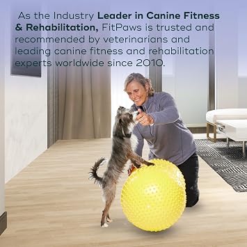 FitPaws Trax Peanut, Dog Training Rehabilitation Exercise Equipment, 40 cm
