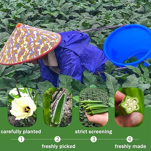 Miniatura 5 de SXET 2 paquetes de bocadillos Okra chips, patatas fritas de okra liofilizadas, okra deshidratada, bocadillos crujientes de verduras para adultos y