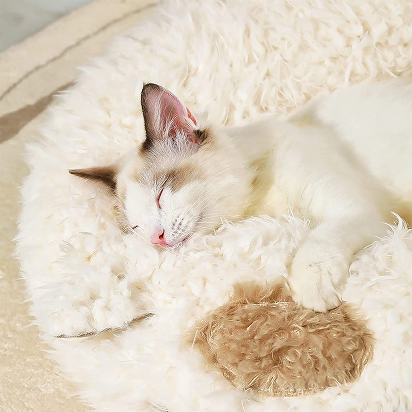 Cuccia Gatto Chiusa Interno Cuccia Casa per Gatto Letto per Cani per Gatti da Interni con Fondo Antiscivolo, Letto per Gatti Lavabile con Palla Appesa,45X45X38CM