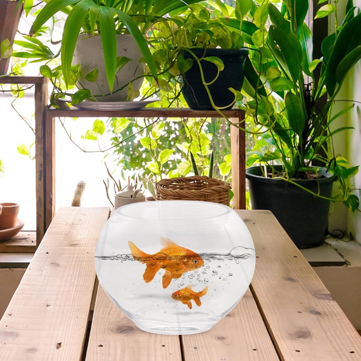 Small Glass Fish Tank Desktop Aquarium Fish Bowl for Home Office Tabletop Miniature Micro Landscape Terrarium Suitable and Succulents