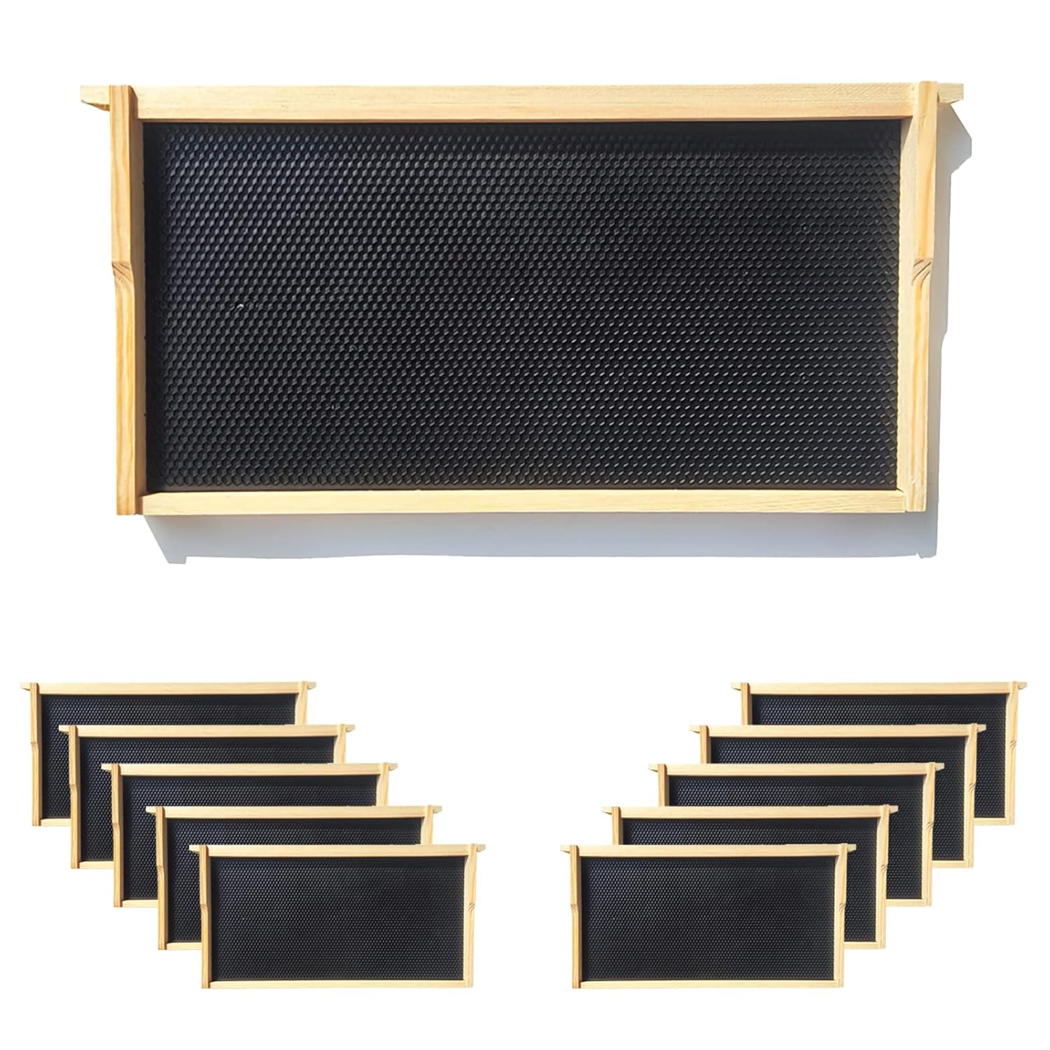 LiteMode Deep Beehive Frames with Plastic Foundations 10