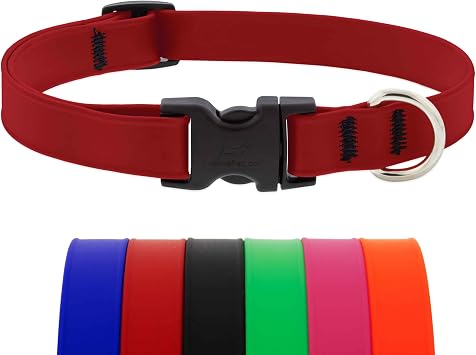 LupinePet Waterproof Splash Dog Collar, Brick Red, 3/4-inch Wide, adjusts 13-22", Made with BioThane