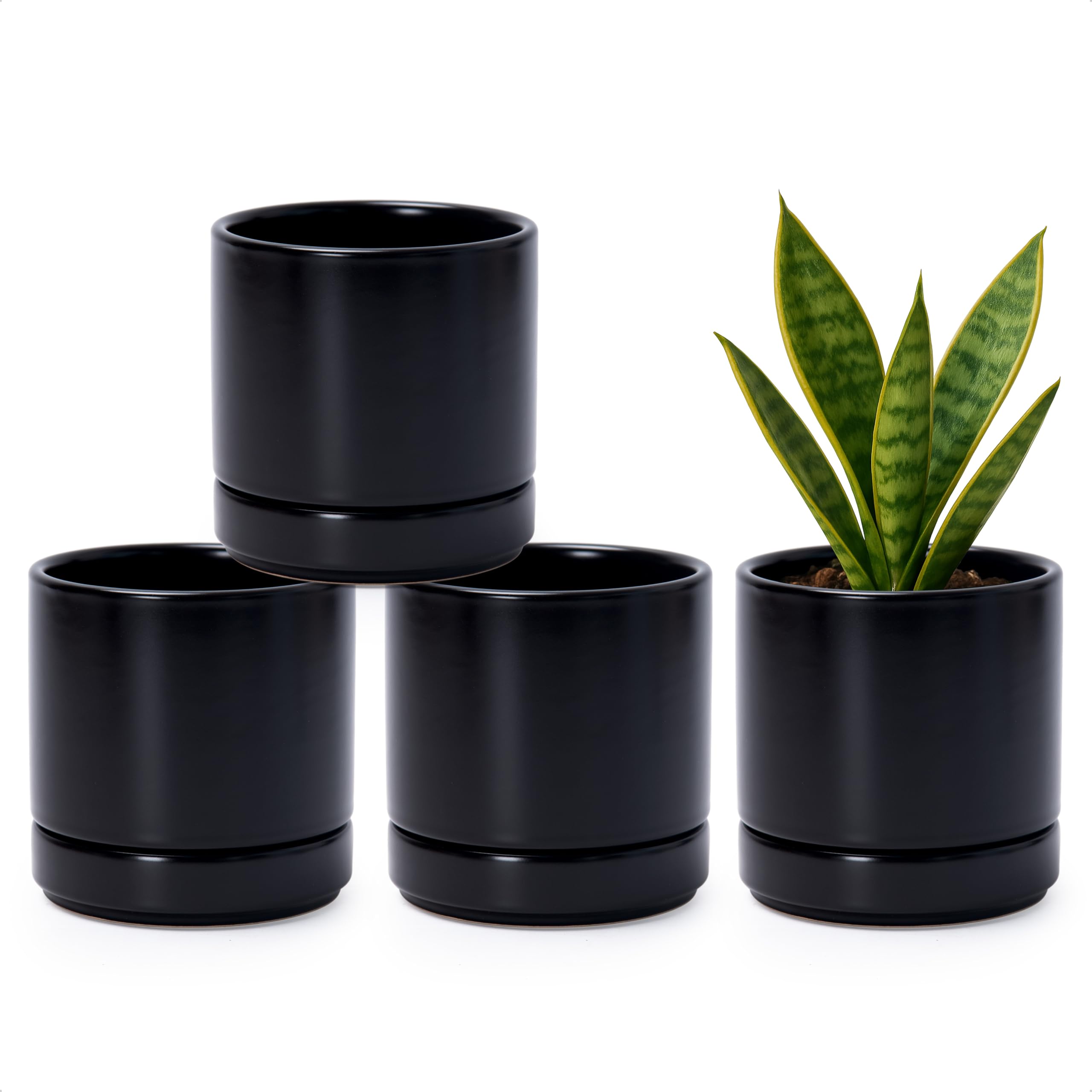 D vine Dev Set of 4 Small Ceramic Plant Pots