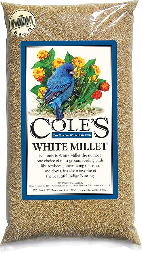 White Millet Bird Seed