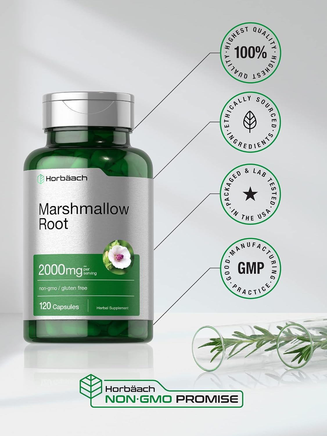 Marshmallow Root Capsules | 2000mg | 120 Count | Non-GMO & Gluten Free | Traditional Herb Extract | by Horbaach