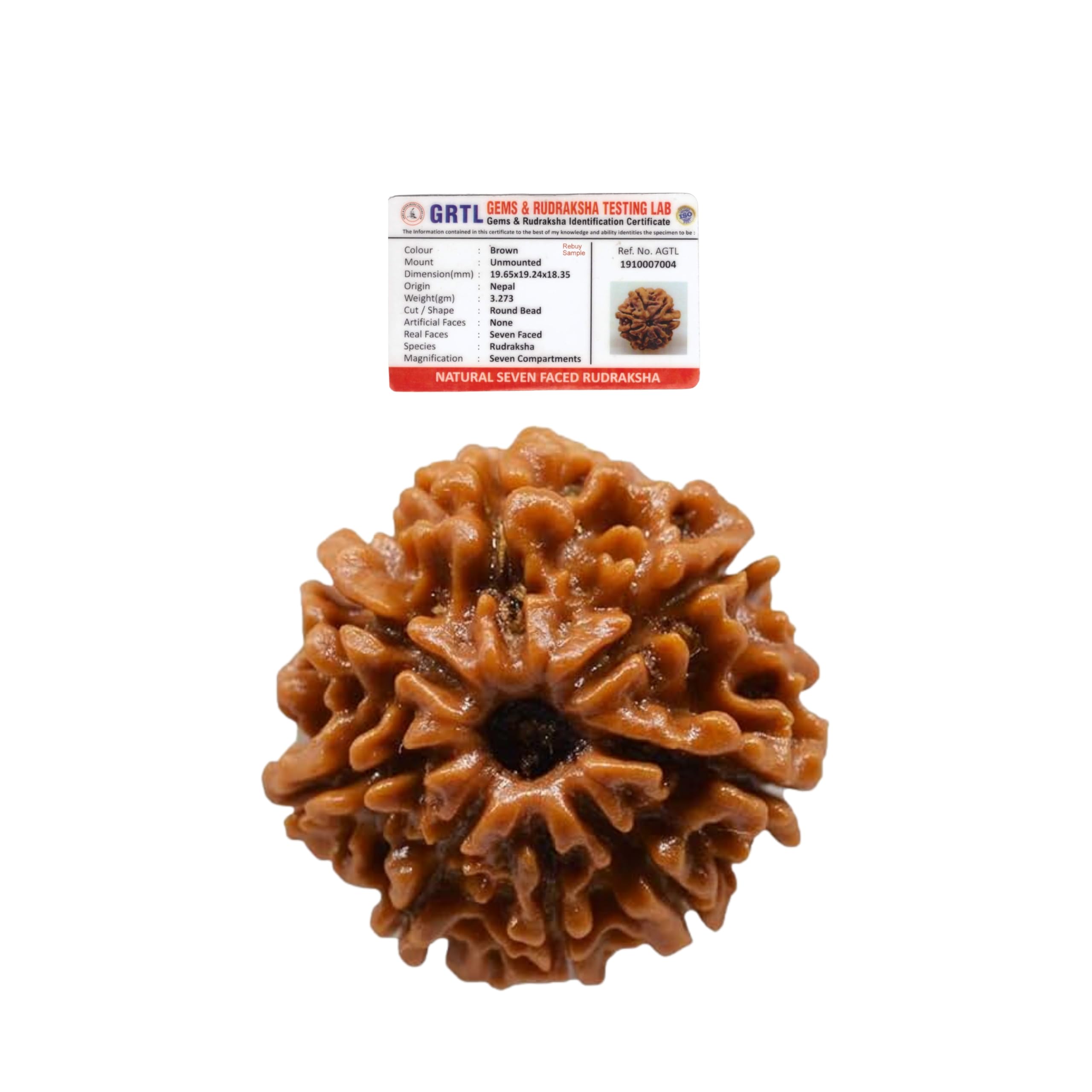 REBUY 8 Mukhi Rudraksha 8 Faced Nepali Rudraksh Original & Certified for Men and Women, Color Brown, Origin Nepal, Bead Size 20-25 MM