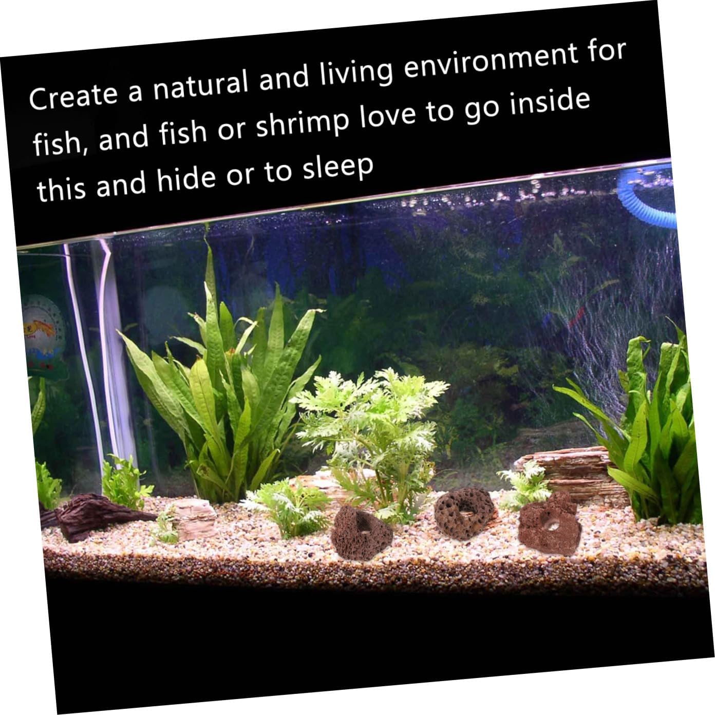 ibasenice Volcanic Rocks Aquarium Ornament 10pcs 5-6cm Fish Tank Stone Plant Holder Fish Habitat Decoration for Aquascaping