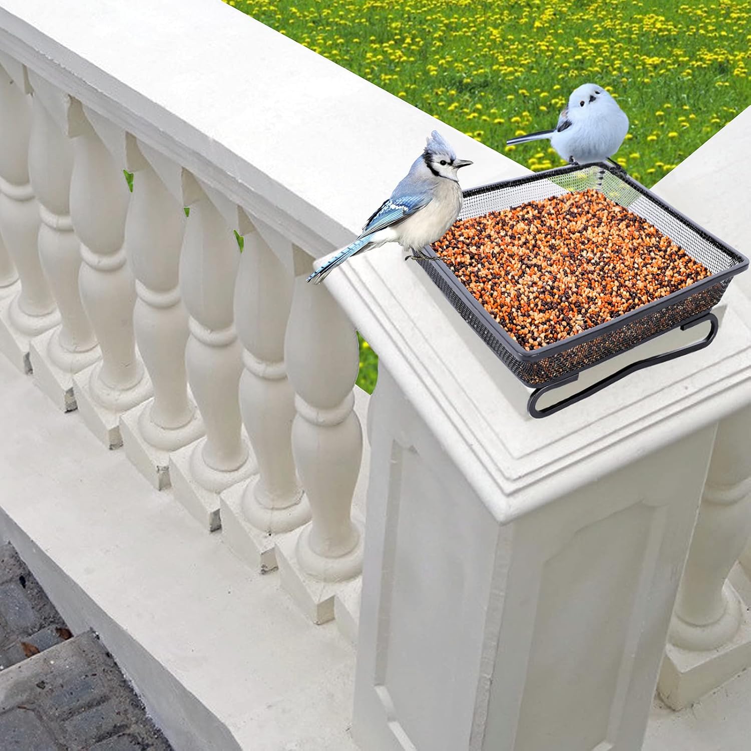 FEED GARDEN Platform Ground Bird Feeder Tray, Metal Mesh Seed Tray for Feeding Birds, Garden Decoration for Wild Birds and Squirrels, Size 7 x 7 x 2.2 Inches